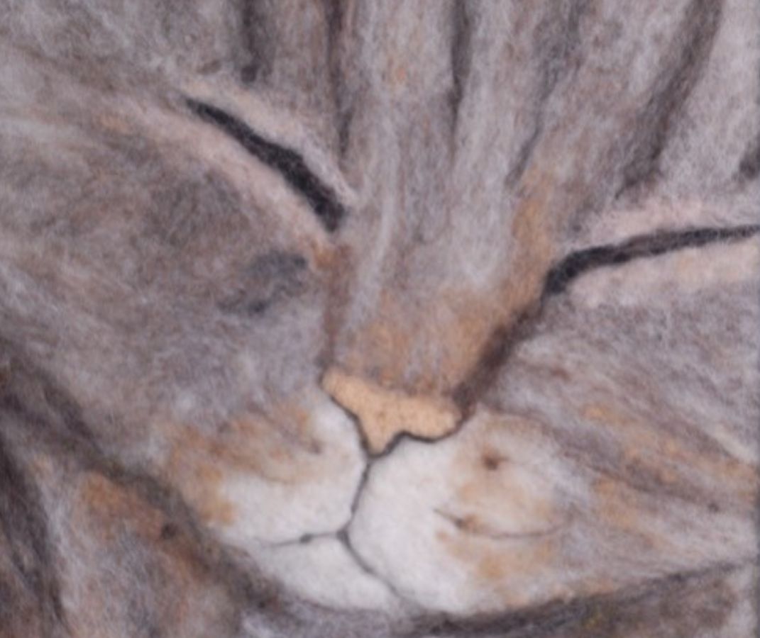 New CAG Class: Create a Sleeping Kitty Needle Felted Fiber Painting with Irene Heckel-Volpe