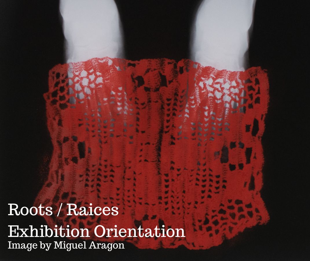 Roots Raices Exhibition Orientation
