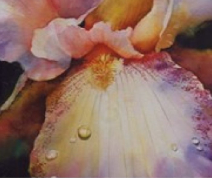 CAG Class: Six Week Intermediate Watercolor Series with Linda Griffin