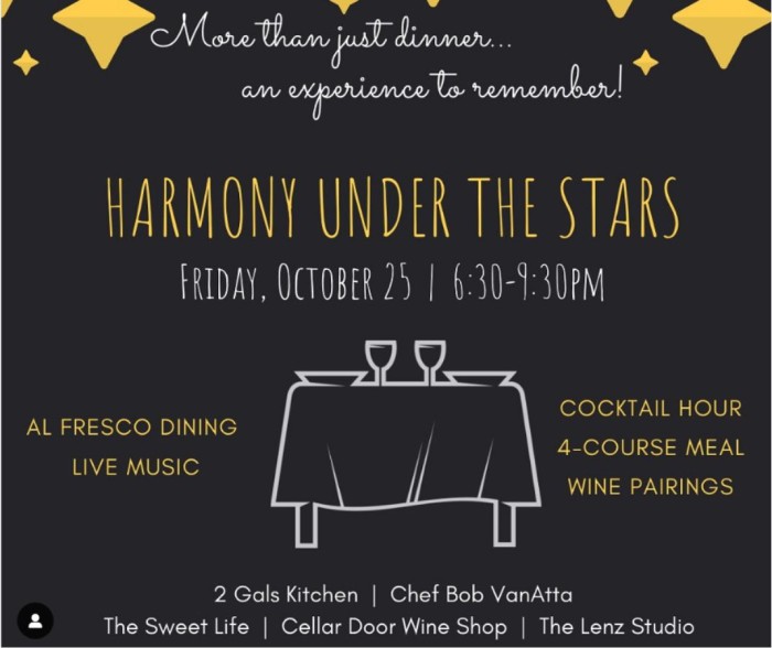 The Lenz Studio Presents: 2nd Harmony Under The Stars Dinner Extravaganza!