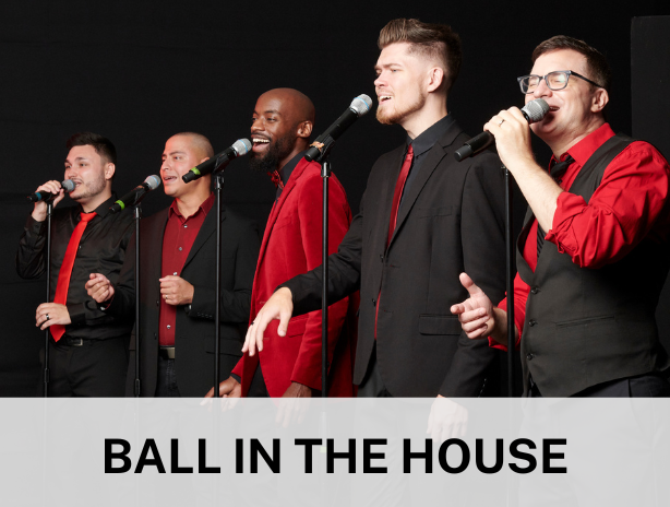 Ball in the House 